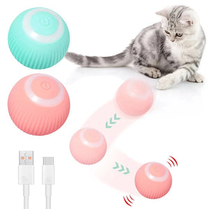 PELOTA INTERACTIVA PARA GATOS Y PERROS PEQUEÑOS