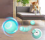 PELOTA INTERACTIVA PARA GATOS Y PERROS PEQUEÑOS