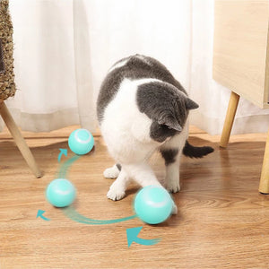 PELOTA INTERACTIVA PARA GATOS Y PERROS PEQUEÑOS