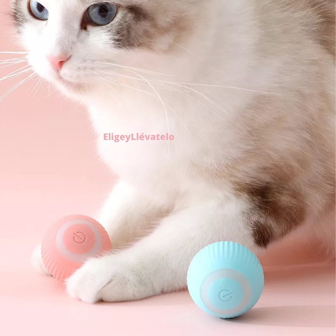 PELOTA INTERACTIVA PARA GATOS Y PERROS PEQUEÑOS