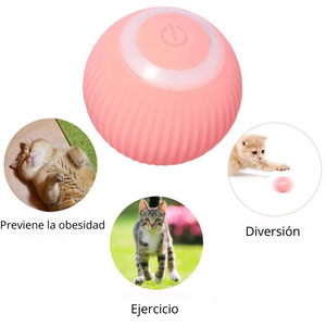 PELOTA INTERACTIVA PARA GATOS Y PERROS PEQUEÑOS