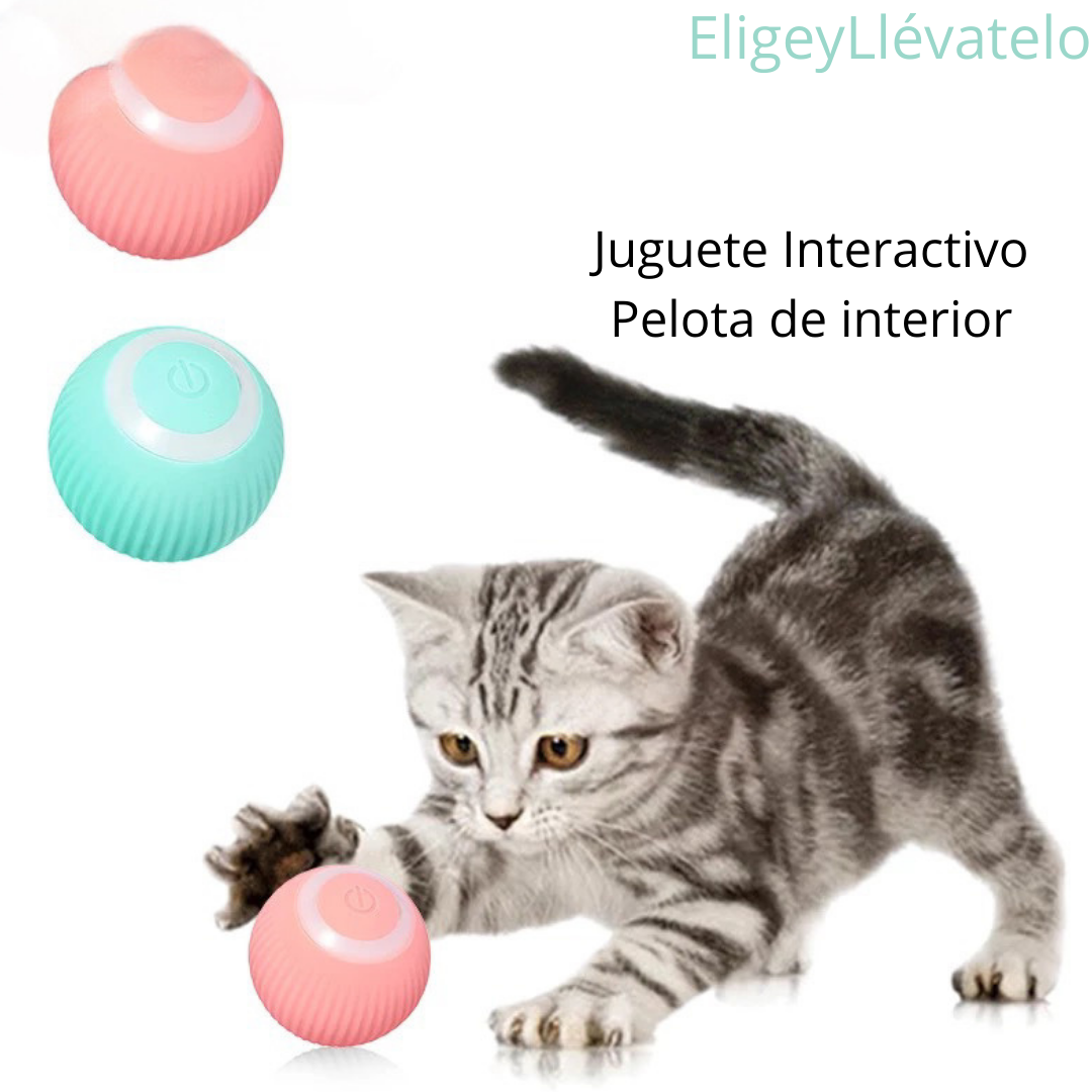 PELOTA INTERACTIVA PARA GATOS Y PERROS PEQUEÑOS