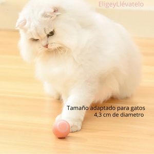 PELOTA INTERACTIVA PARA GATOS Y PERROS PEQUEÑOS